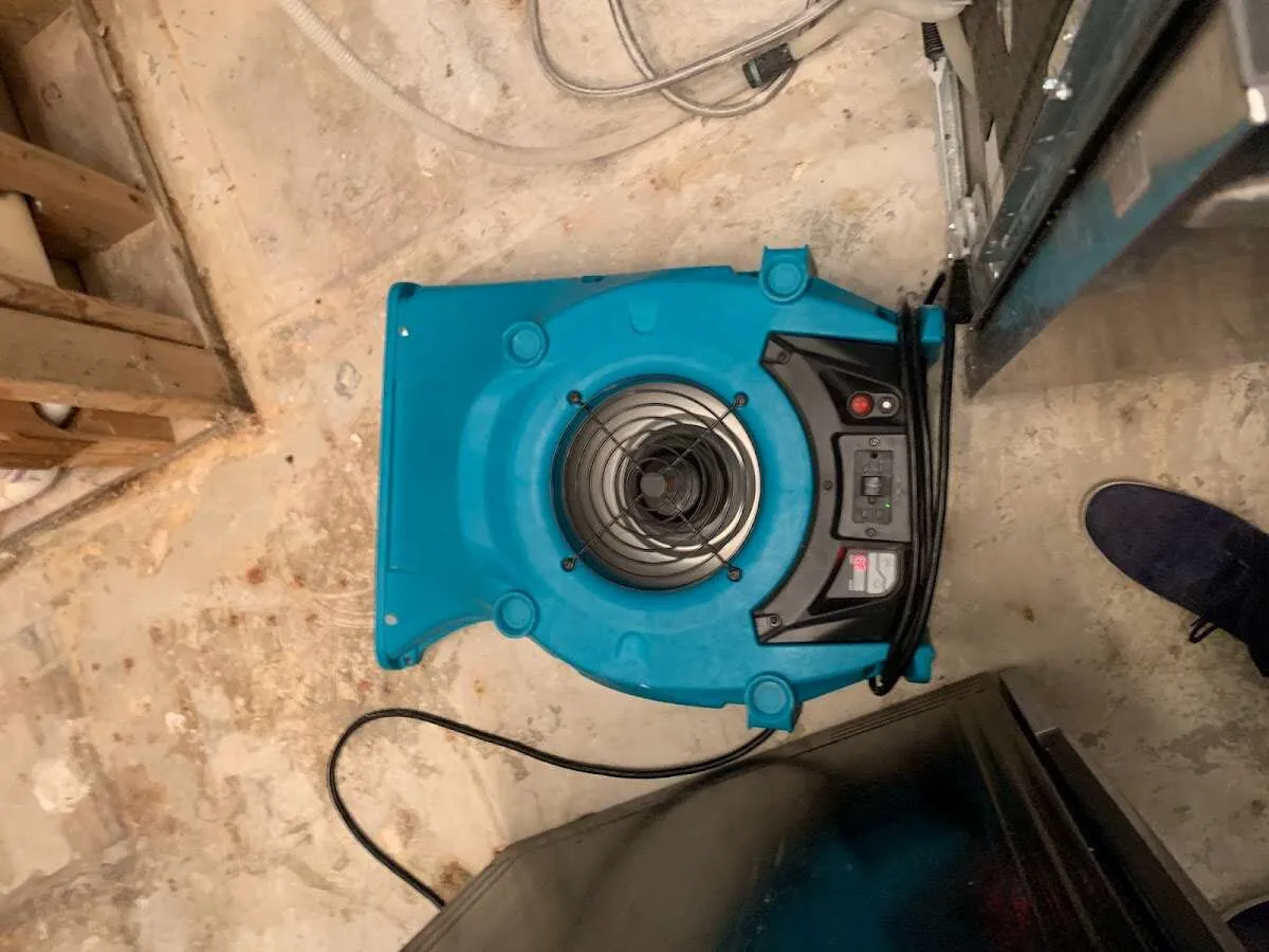 Air mover drying equipment for Mold Remediation & Removal in LaGrange