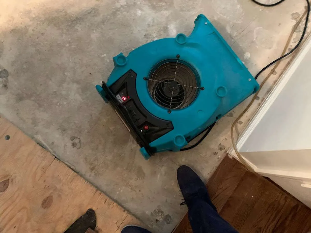 Air mover drying subfloor during Leak Detection & Repair in LaGrange